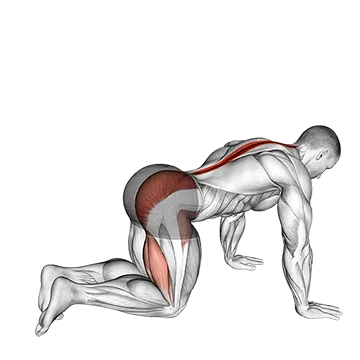 Bent Knee Back to Side Kick