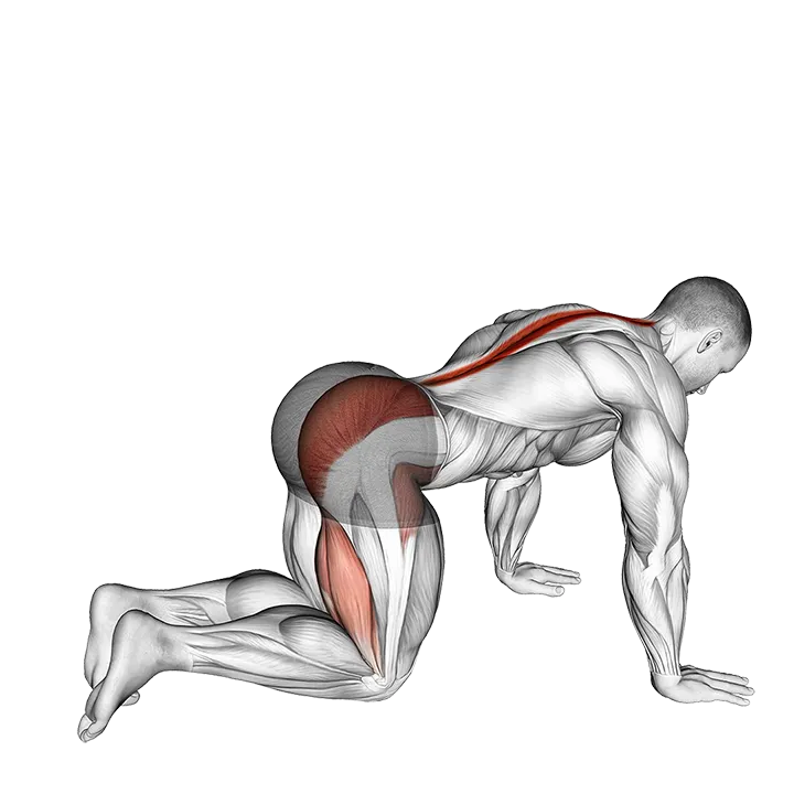 Bent Knee Back to Side Kick exercise animation (Male)