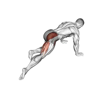 Kneeling Leg Half Circle