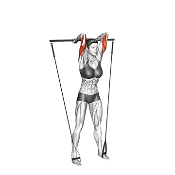 Bar Band Overhead Triceps Extension