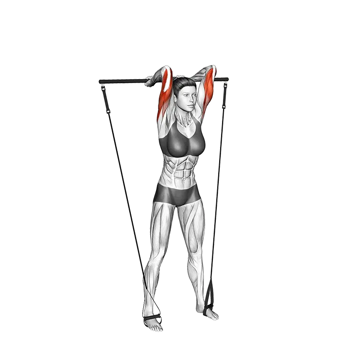 Bar Band Overhead Triceps Extension exercise animation (Female)
