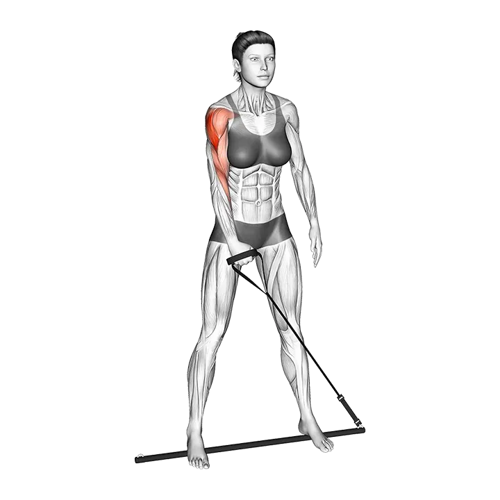 Bar Band Standing Single Arm Upright Row exercise animation (Mujer)