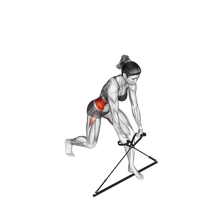 Bar Band Down to Up Twist exercise animation (Female)
