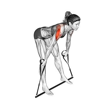 Bar Band Skier