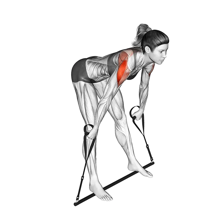 Bar Band Skier exercise animation (Female)