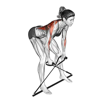 Bar Band Bent Over Row