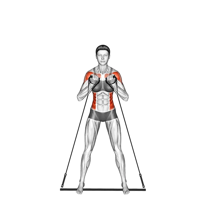 Bar Band Side Bend Press exercise animation (Female)