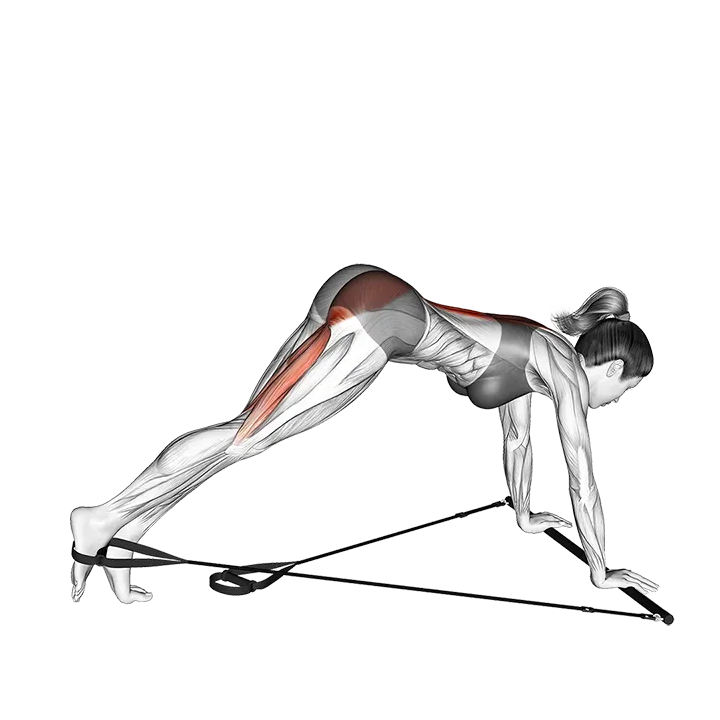 Bar Band Single Leg Reverse Hyperextension exercise animation (Female)