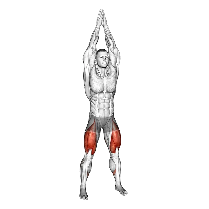 Air Squat (VERSION 2) exercise animation (Male)