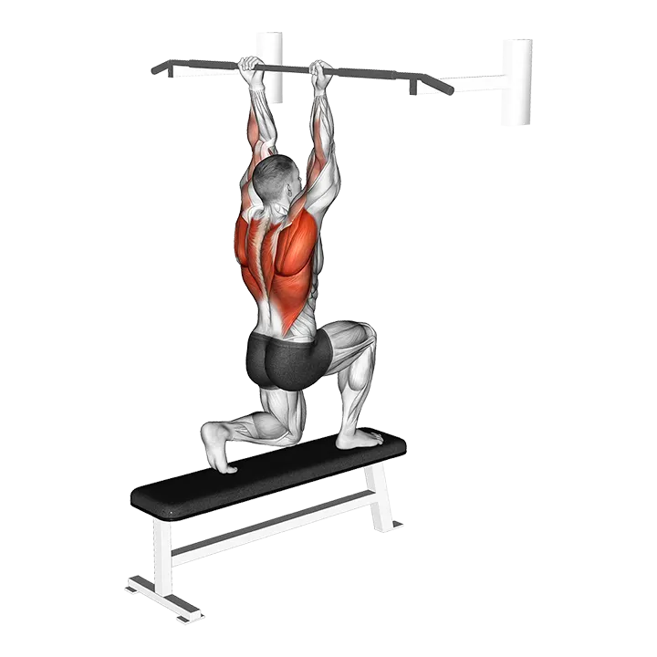 Assisted Chin-up (low bar position) exercise animation (Male)