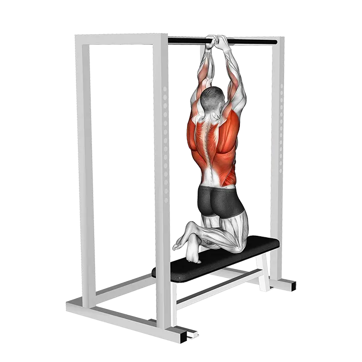 Assisted Commando Pull-up exercise animation (Male)