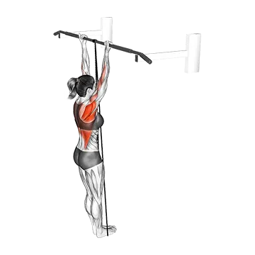 Band Assisted Chin-Up