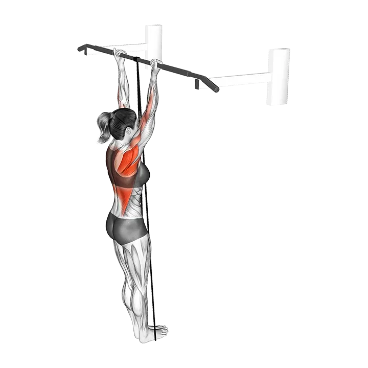 Band Assisted Chin-Up exercise animation (Female)