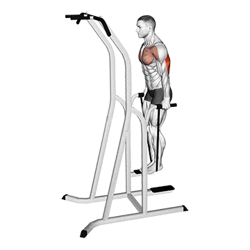 Band Assisted Dip (VERSION 2)