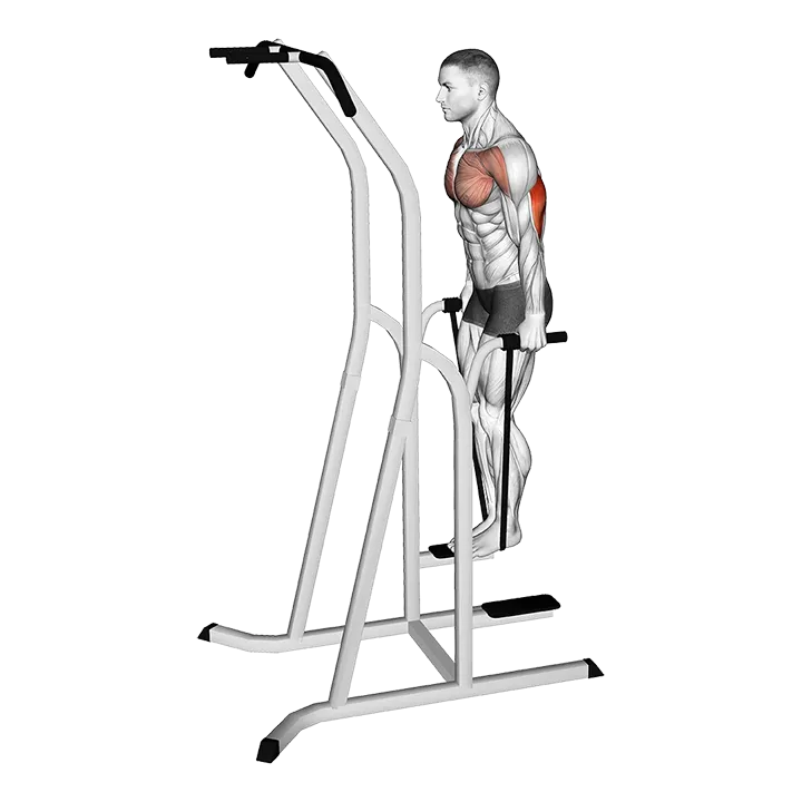 Band Assisted Dip (VERSION 2) exercise animation (Male)