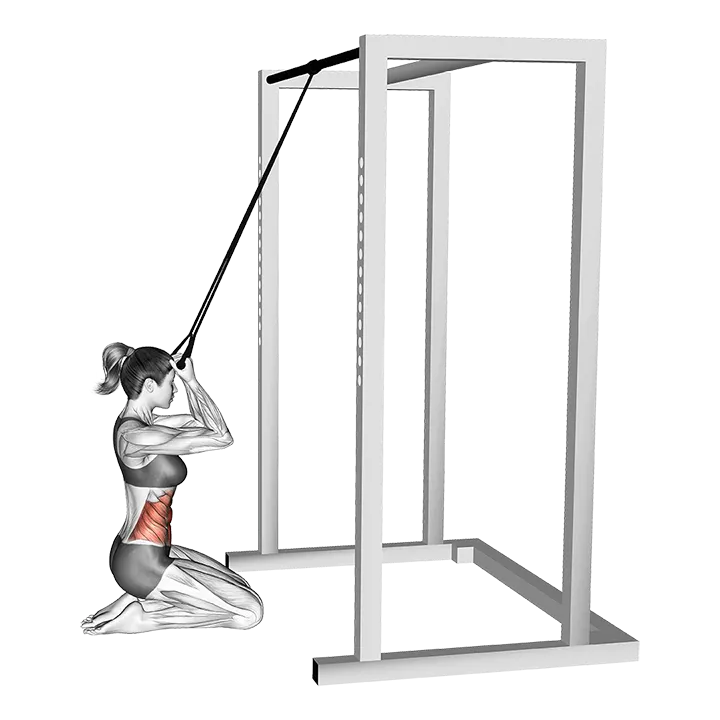 Band Kneeling Crunch (VERSION 2) exercise animation (Female)