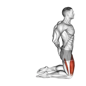 Bodyweight Kneeling Sissy Squat