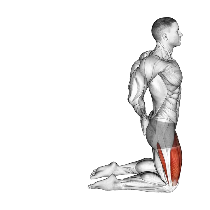 Bodyweight Kneeling Sissy Squat exercise animation (Male)