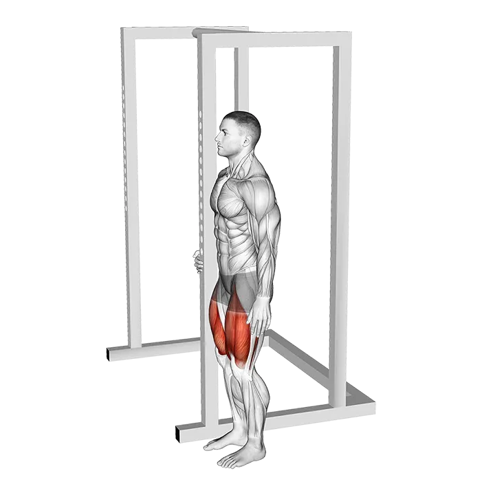 Bodyweight Standing Sissy Squat exercise animation (Male)