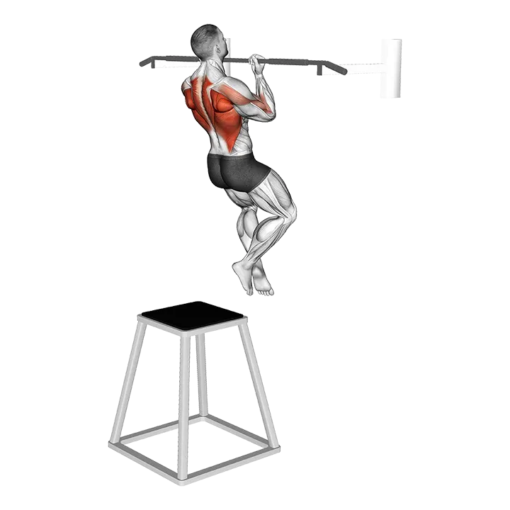 Chin-up (izometric and negative) exercise animation (Male)