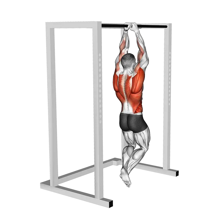 Commando Pull-up exercise animation (Männlich)