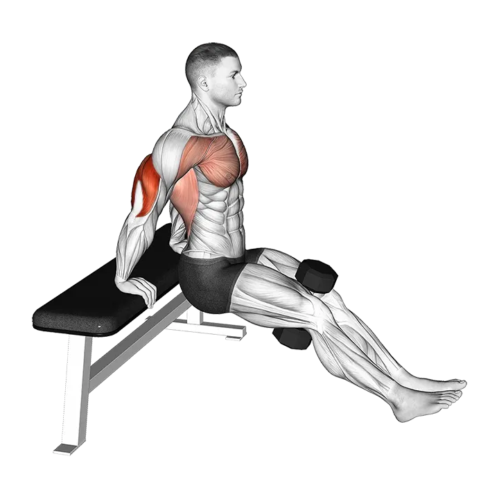 Dumbbell Bench Dip exercise animation (Male)
