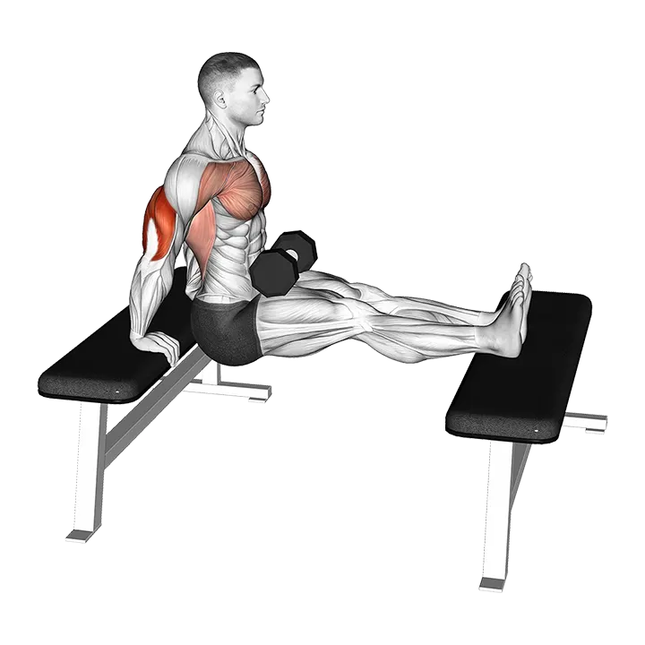 Dumbbell Bench Dip with Legs Elevated exercise animation (Male)