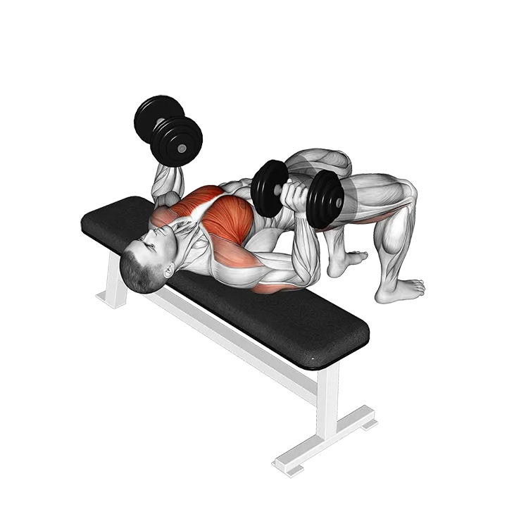 Dumbbell Bridge Bench Press exercise animation (Male)