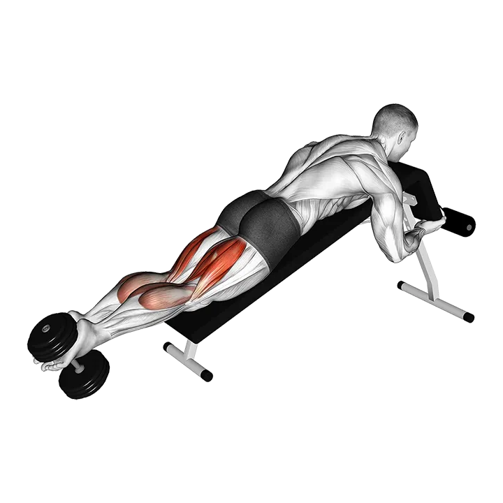 Dumbbell Decline Lying Leg Curl exercise animation (Male)