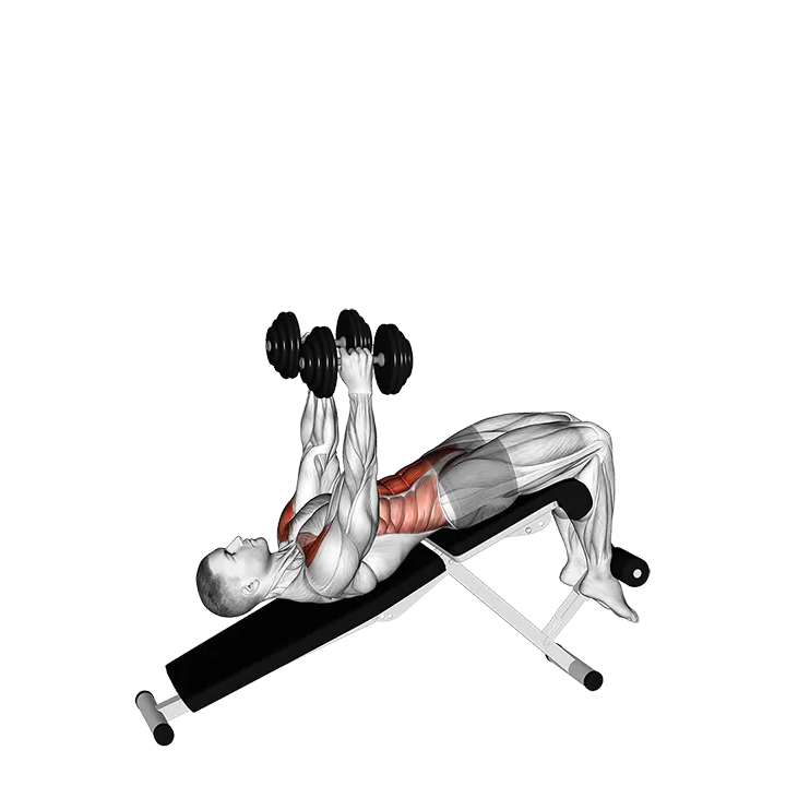 Dumbbell Decline Overhead Sit-up exercise animation (Male)