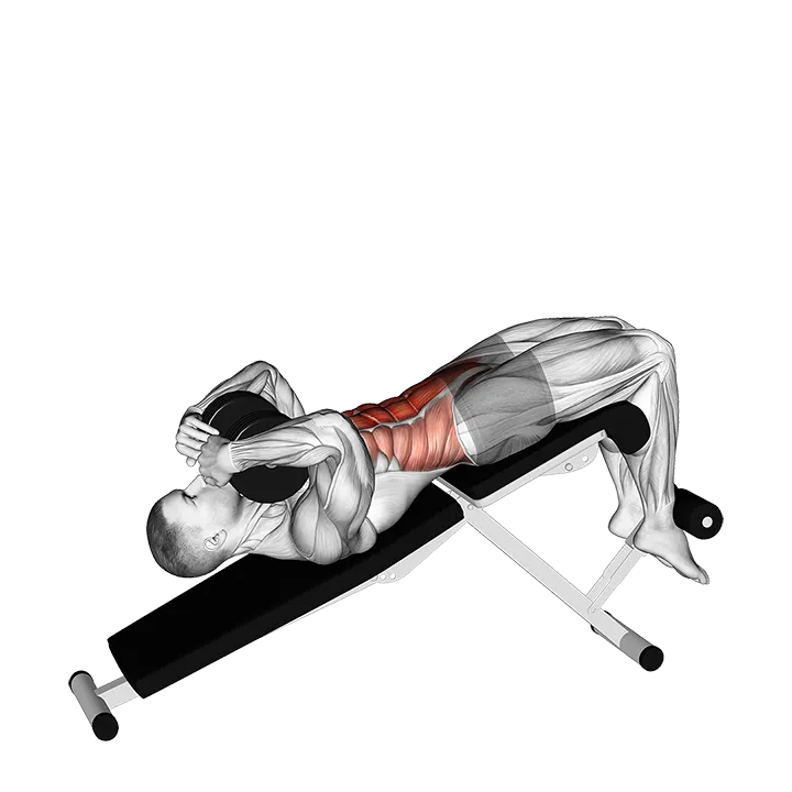 Dumbbell Decline Sit-up exercise animation (Male)