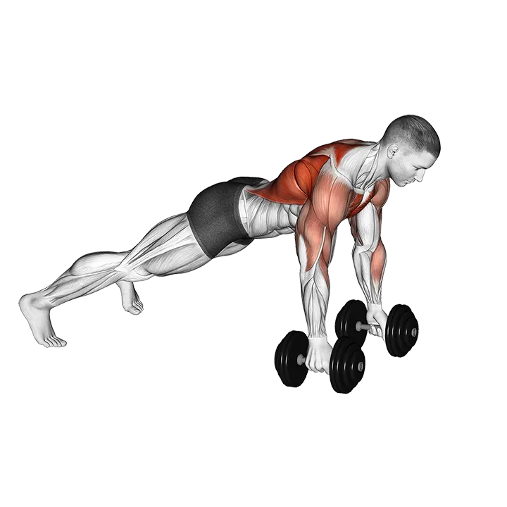 Dumbbell Deep Push-up and Renegade Row exercise animation (Male)
