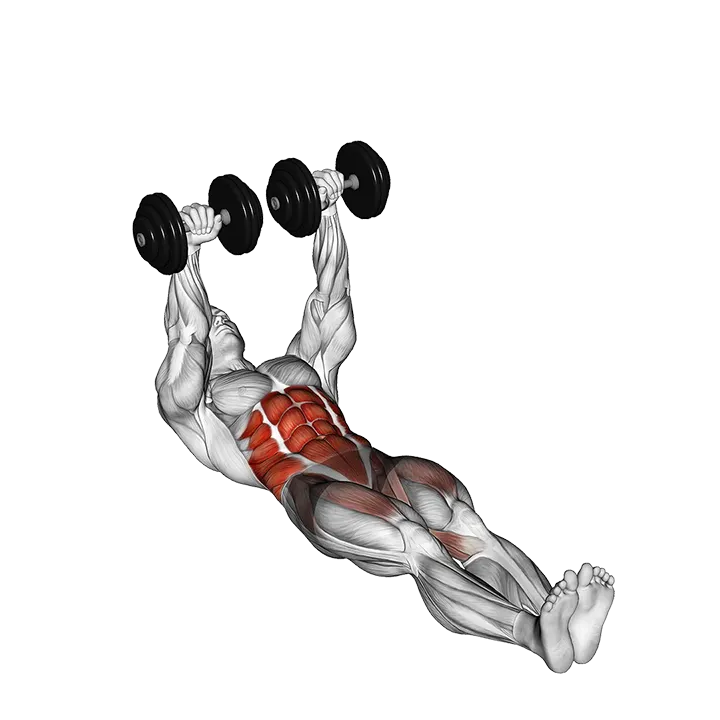 Dumbbell Floor Wiper exercise animation (Male)