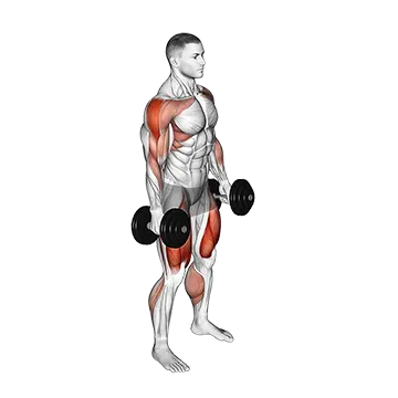 Dumbbell Hang Power Clean