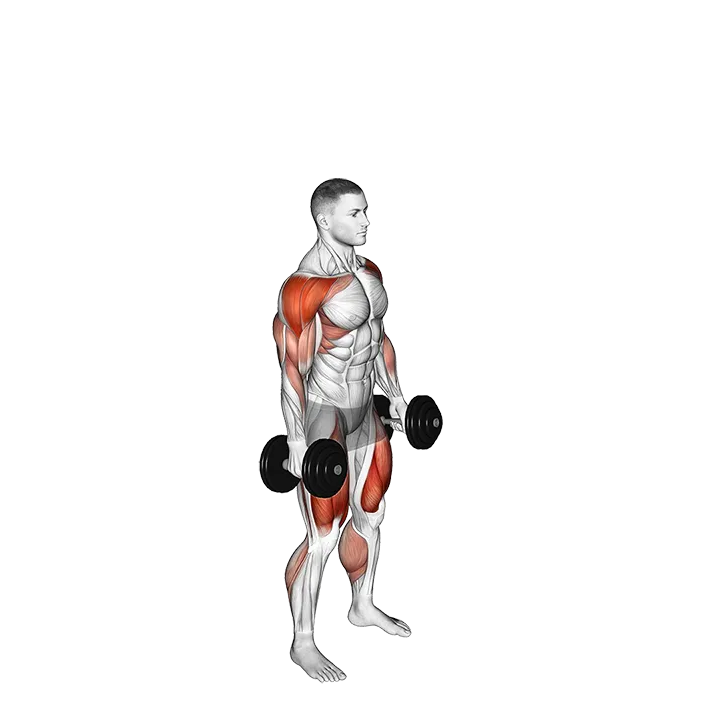 Dumbbell Hang Power Clean and Jerk exercise animation (Male)