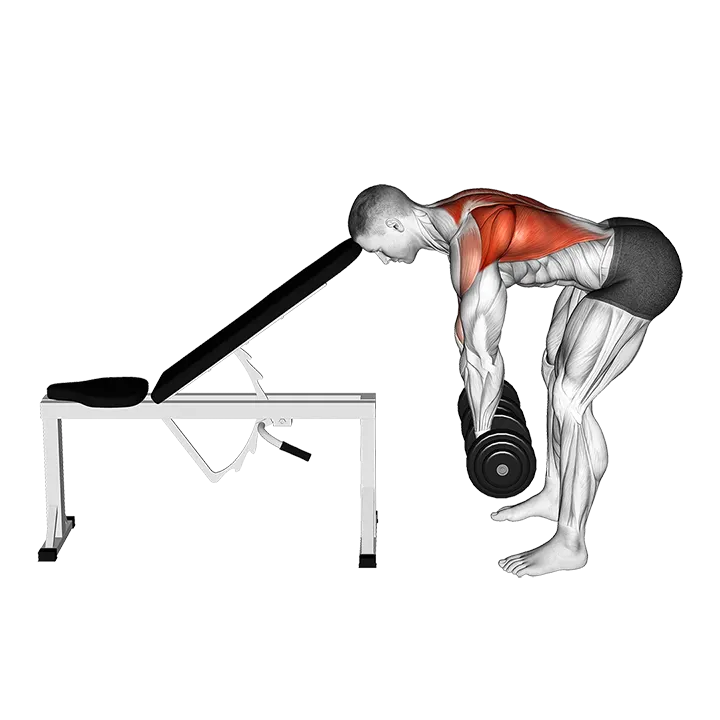 Dumbbell Head Supported Row exercise animation (Male)