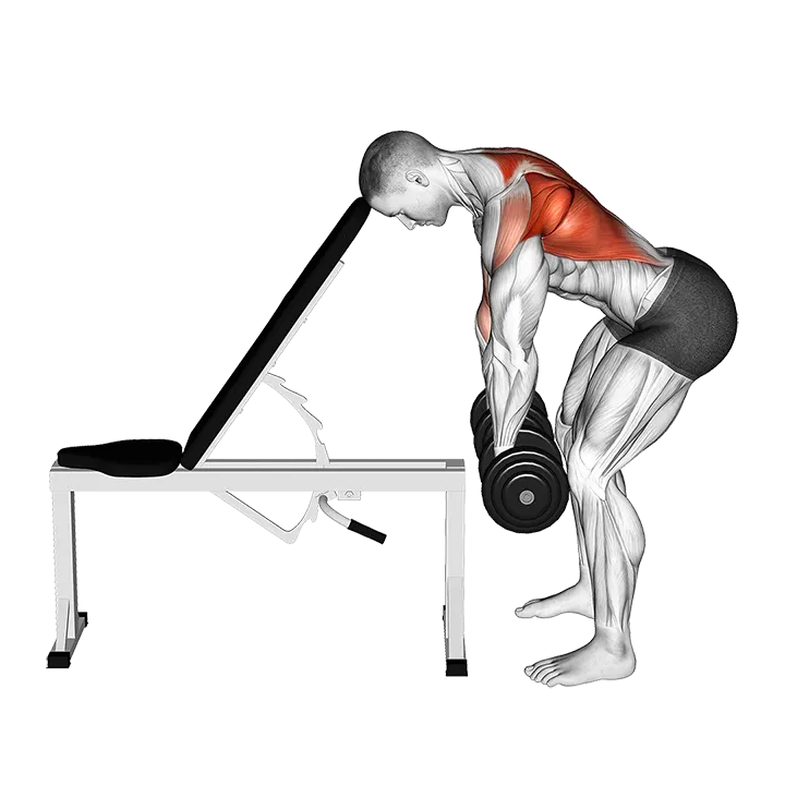 Dumbbell Incline Head Supported Row exercise animation (Male)