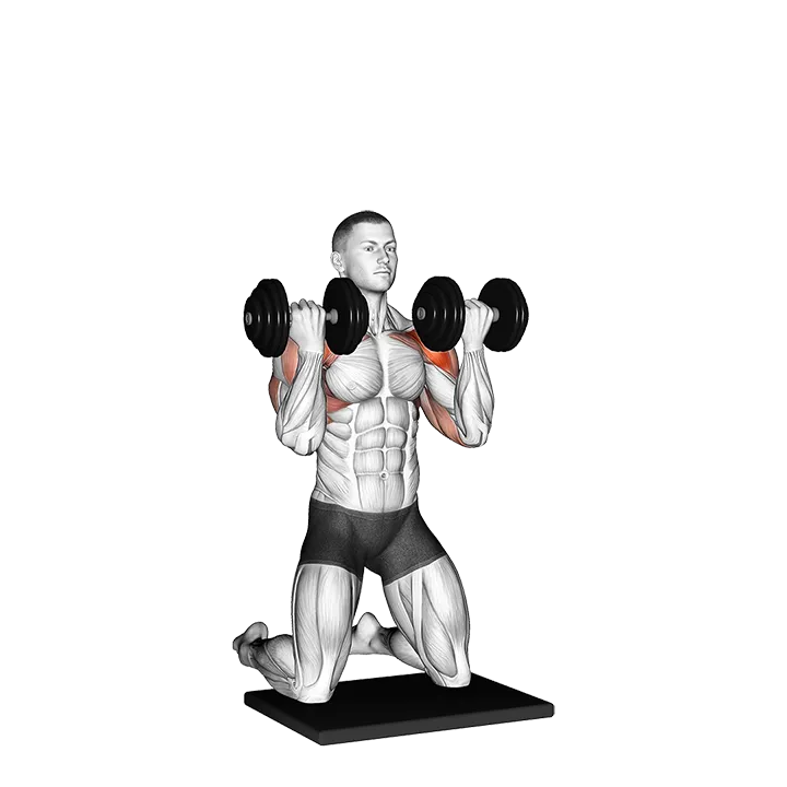 Dumbbell Kneeling Arnold Press exercise animation (Male)
