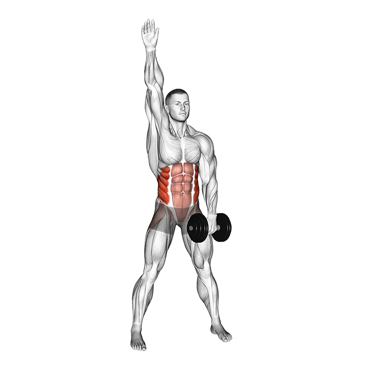 Dumbbell Low Windmill exercise animation (Male)