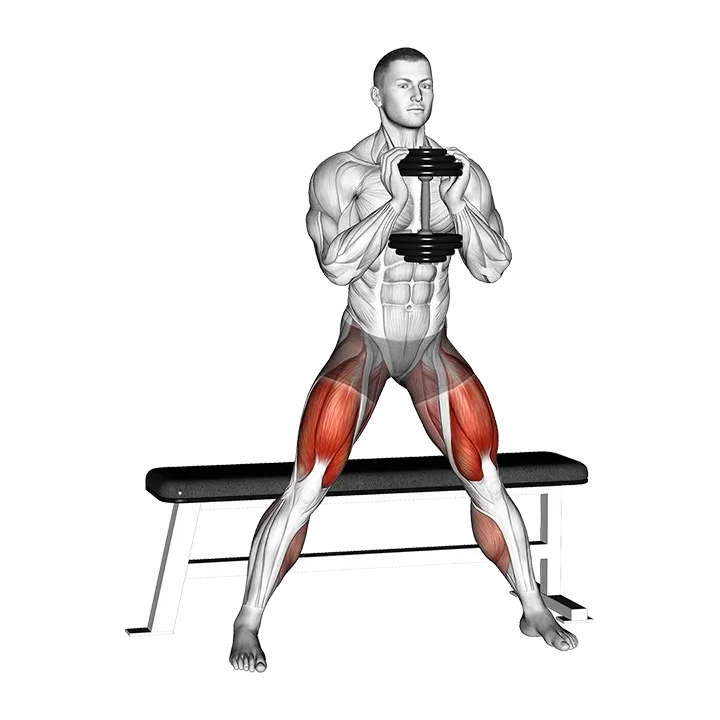 Dumbbell Side Bench Squat exercise animation (Male)