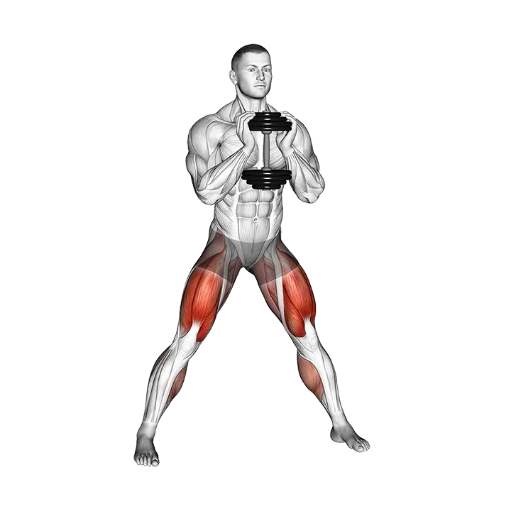 Dumbbell Side Squat exercise animation (Male)