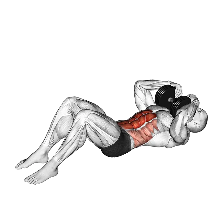 Dumbbell Sit-up exercise animation (Male)
