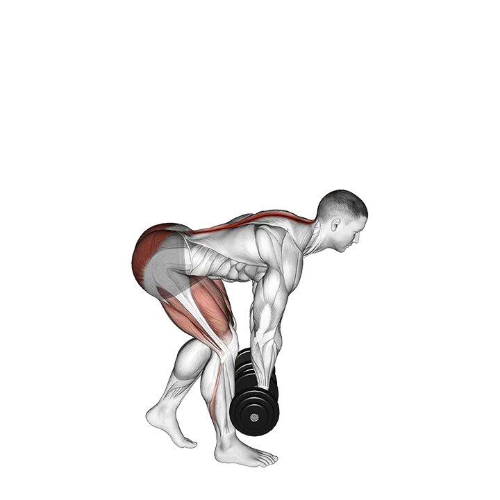 Dumbbell Staggered Stance Romanian Deadlift exercise animation (Male)