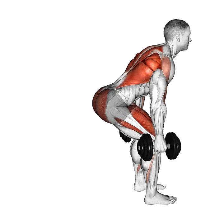Dumbbell Step Back Lunge and Row exercise animation (Male)