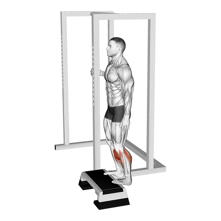 Elevated Standing Calf Raise exercise animation (Male)