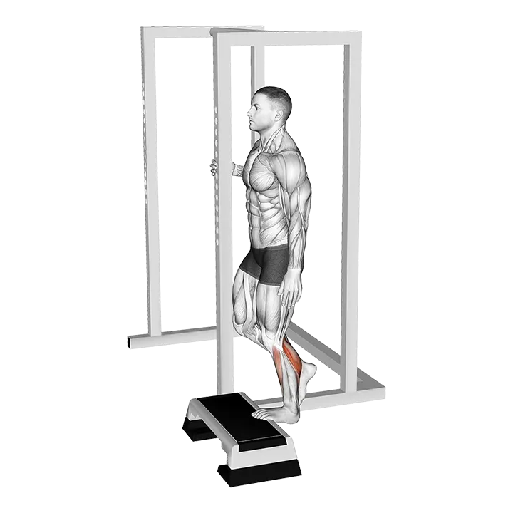 Elevated Standing Single Leg Calf Raise exercise animation (Male)