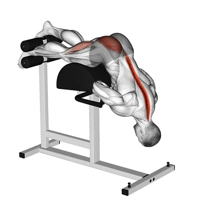 Glute Ham Single Leg Hyperextension exercise animation (Male)