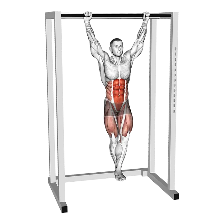 Hanging Knee Circle Raise exercise animation (Male)