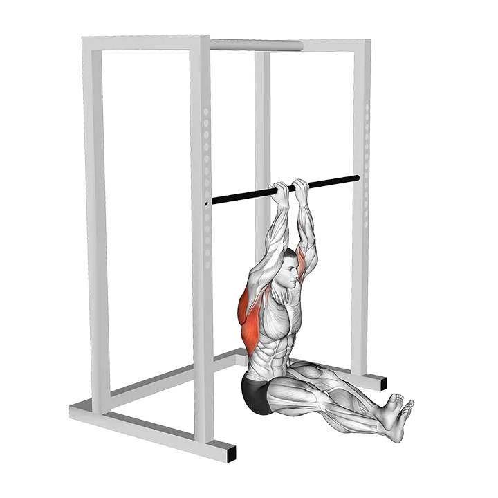 Narrow Seated Chin-up exercise animation (Male)