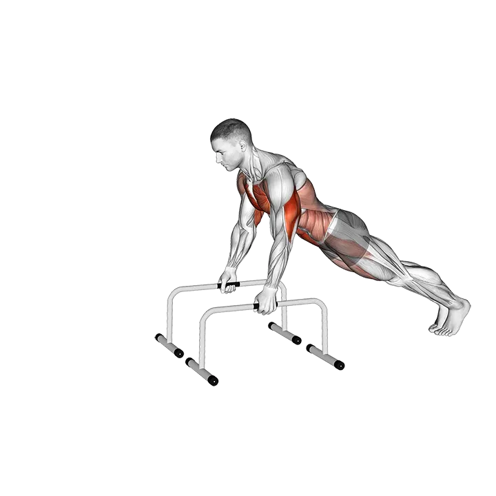 Push-up and Triceps Dip on Parallel Bars exercise animation (Male)